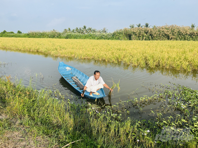 Cà Mau thực hiện giải pháp đầu tư vào hệ thống thủy lợi nội đồng trong vùng ngọt. Ảnh: Trọng Linh.