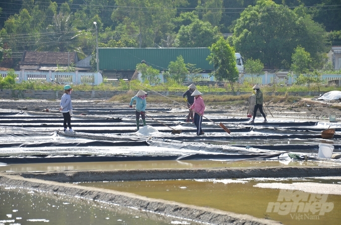 Vùng sản xuất muối Sa Huỳnh. Ảnh: Lê Khánh.