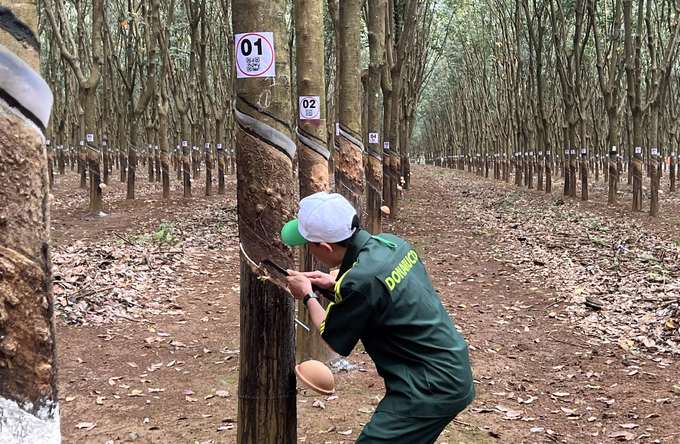 Công nhân tranh tài tại Hội thi. Ảnh: Thanh Sơn.