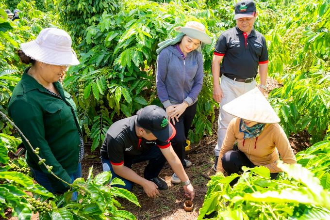 Cán bộ hỗ trợ nông nghiệp của Nestlé Việt Nam hướng dẫn nông dân trồng cà phê thực hành canh tác nông nghiệp tái sinh.