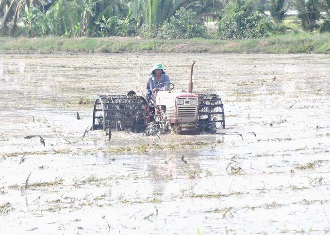 Farmers in Chau Thanh District, Kien Giang Province are cleaning their fields in preparation for planting the 2024-2025 winter-spring rice crop. Photo: Trung Chanh.