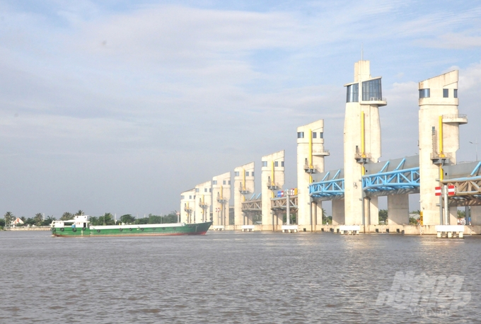 The Cai Lon, Cai Be, Xeo Ro irrigation systems will be operated flexibly in December 2024 to respond to adverse weather conditions that may affect production and livelihoods. Photo: Trung Chanh.