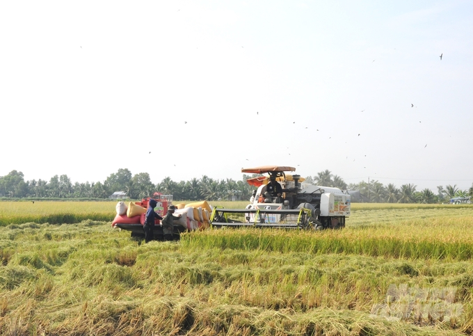 From the beginning of 2024 until now, the Cai Lon - Cai Be irrigation system has been operated several times, regulating water sources for the benefiting areas. Photo: Trung Chanh.