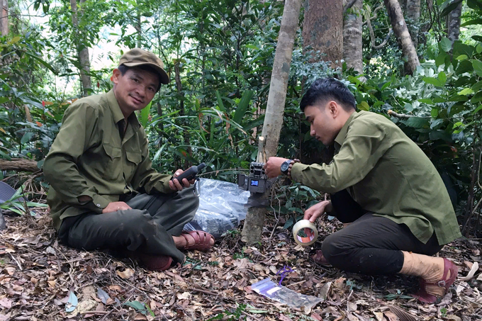 Biodiversity conservation activities at the Bac Huong Hoa Nature Reserve. Photo: Bac Huong Hoa Nature Reserve.