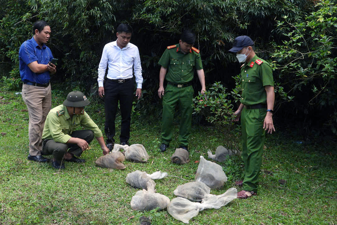 Releasing wildlife back into their natural habitat at the Bac Huong Hoa Nature Reserve. Photo: Bac Huong Hoa Nature Reserve.