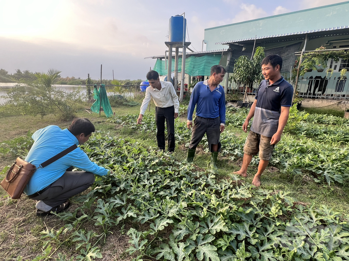 Bà con nông dân đã chủ động được mùa vụ khi có ô đê bao. Ảnh: Trọng Linh.