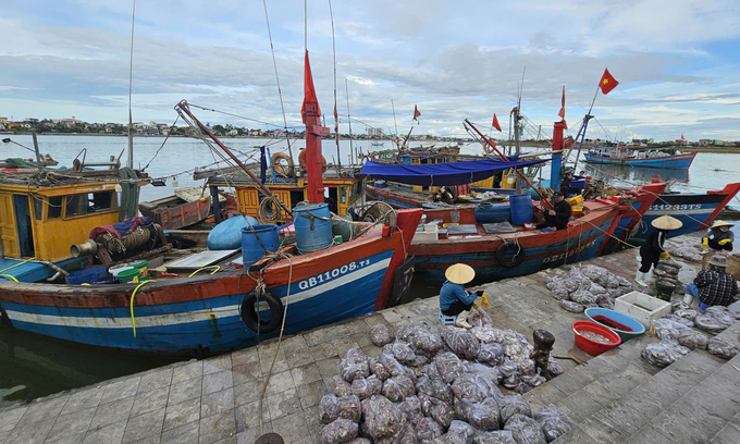 The enforcement of measures against 'three-no' fishing vessels aims to create favorable conditions for fishermen to confidently go to sea and stay engaged in fishing. Photo: T. Duc. 