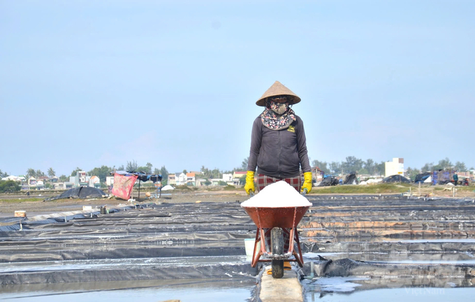 Vietnam will have more than 14 thousand hectares of salt production area by 2025. Photo: Le Khanh.