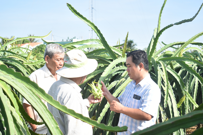 Thành viên của HTX Hưng Thịnh Phát (huyện Chợ Gạo) an tâm sản xuất dưới sự dẫn dắt của HTX. Ảnh: Minh Đảm.