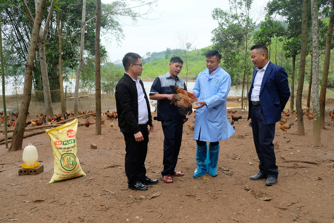 Anh Bùi Văn Hiến (thứ 2 từ trái qua) cùng cán bộ kỹ thuật của AFC kiểm tra lứa gà chuẩn bị xuất bán cho dịp cuối năm. Ảnh: Tùng Đinh.