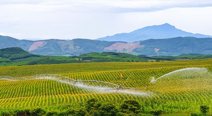 Quá trình canh tác làm thức ăn cho bò sữa hữu cơ chỉ sử dụng phân bón hữu cơ do Tập đoàn TH sản xuất từ nguồn chất thải chăn nuôi của chính trang trại.