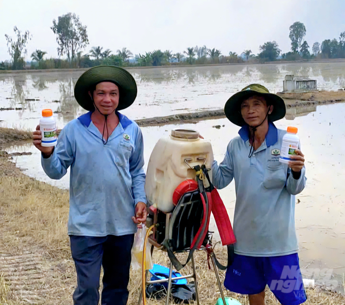 Nông dân xã Vĩnh Lợi, huyện Châu Thành, tỉnh An Giang xuống giống vụ đông xuân 2024 - 2025. Ảnh: Minh Sáng.