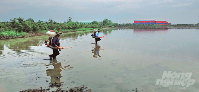 Trên cánh đồng xã Tân Tây (huyện Thạnh Hóa, tỉnh Long An) thời điểm này bà con nông dân đang tranh thủ xuống giống đợt 3. Ảnh: Minh Sáng.