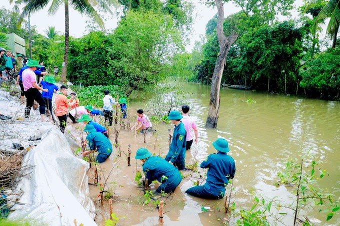 Forest planting in Cao Lanh, Dong Thap.