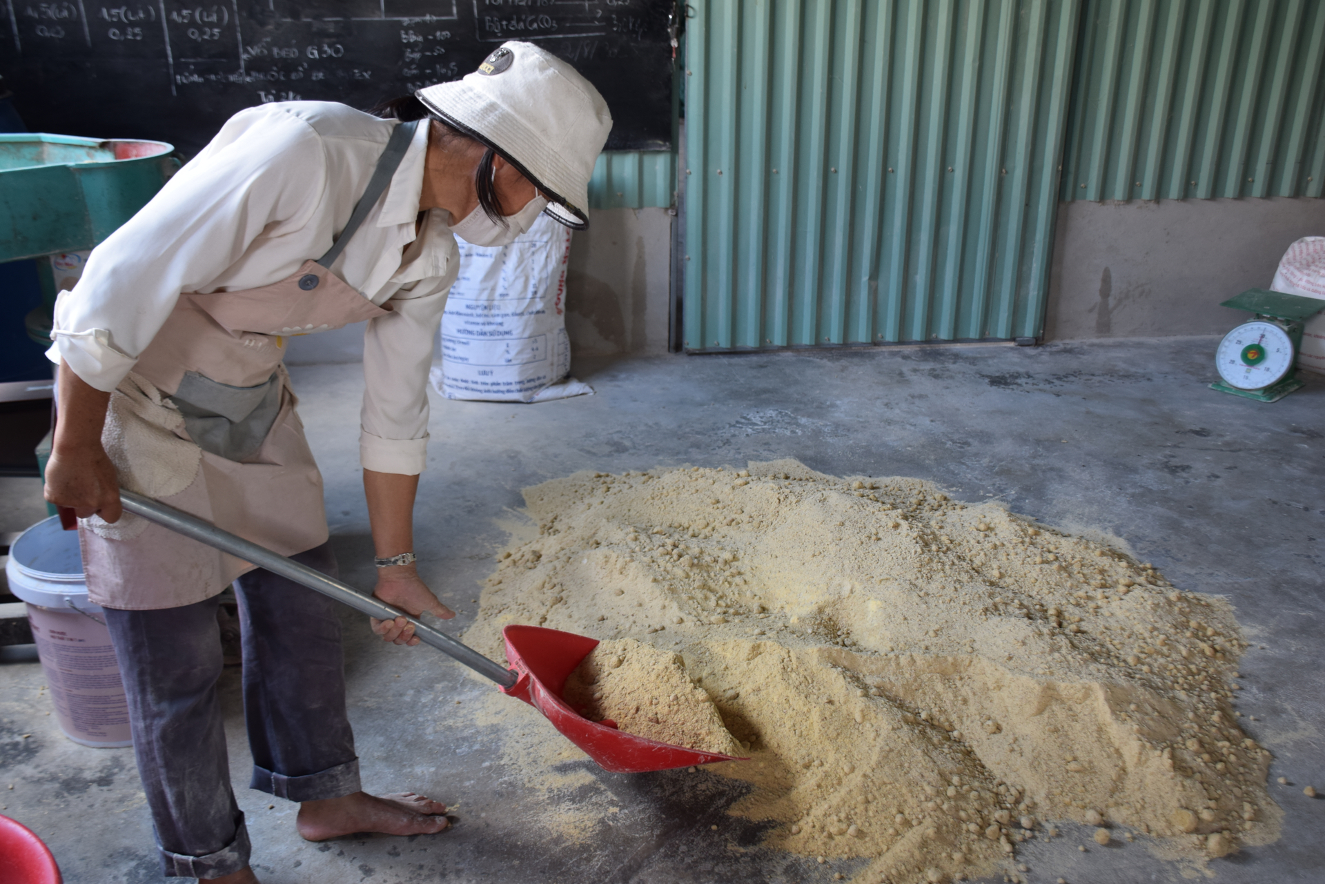 Thịt trùn quế được sấy khô, xay nhỏ phối trộn với bột bắp, bã mì khô, cám gạo, đạm cá, bã đậu phụng, bã bia, men thảo dược, men tỏi làm thức ăn dinh dưỡng cho vật nuôi. Ảnh: V.Đ.T.