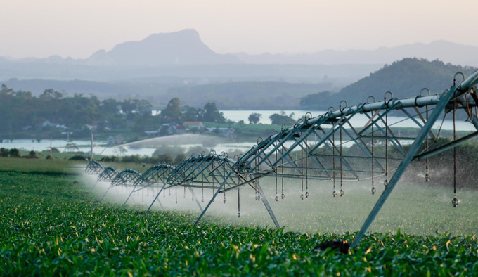 The company feeds its cow herd fresh forage from organic corn and grass. Notably, it cultivates cow feed on nearly 300 hectares of farmland reserved specifically for organic dairy farming.