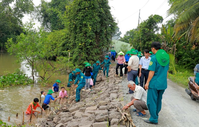 Planting trees along the canal in Binh Hang Tay commune, Cao Lanh district, Dong Thap.