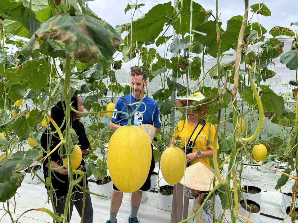 Du khách nước ngoài tham quan trang trại Ca Organic Farm. Ảnh: V.Đ.T.