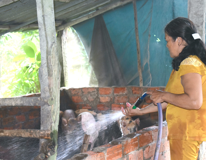 Ngành chuyên môn khuyến cáo bà con nông dân tăng cường giám sát sức khỏe đàn vật nuôi thời điểm giao mùa. Ảnh: Minh Đảm.