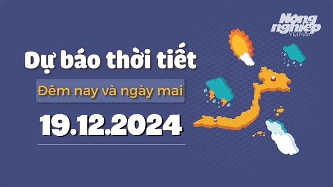 Tin tức thời tiết đêm nay và ngày mai 19/12/2024 tại các vùng trong cả nước