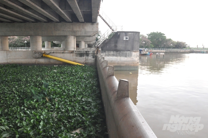 Chi cục Thủy lợi tỉnh Kiên Giang đã chủ động đóng các cống, phòng, chống hạn hán, xâm nhập mặn gia tăng, bảo vệ sản xuất lúa và nuôi trồng thủy sản ven biển. Ảnh: Trung Chánh.