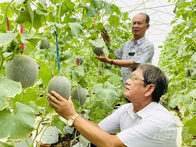 Sản xuất nông nghiệp công nghệ cao tại TP Cần Thơ. Ảnh: Lê Hoàng Vũ.