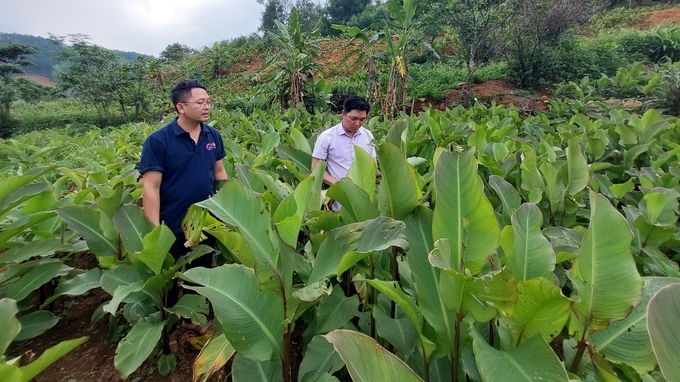 Các công trình thủy lợi đã giúp người dân huyện Bình Liêu ổn định sản xuất nông nghiệp. Ảnh: Nguyễn Thành.