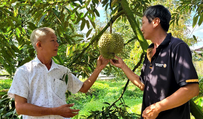 Phát huy lợi thế nông nghiệp, xã Tân Hưng khuyến khích người dân chuyển đổi cơ cấu cây trồng, vật nuôi mang lại hiệu quả cao. Ảnh: Kiều Nhi.