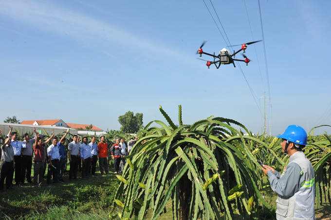 Drone đảm bảo phun thuốc chính xác và đồng đều trên toàn bộ diện tích canh tác, tốc độ phun thuốc nhanh hơn tới 30 lần so với phương pháp phun thủ công. Ảnh: Lê Hoàng Vũ. 