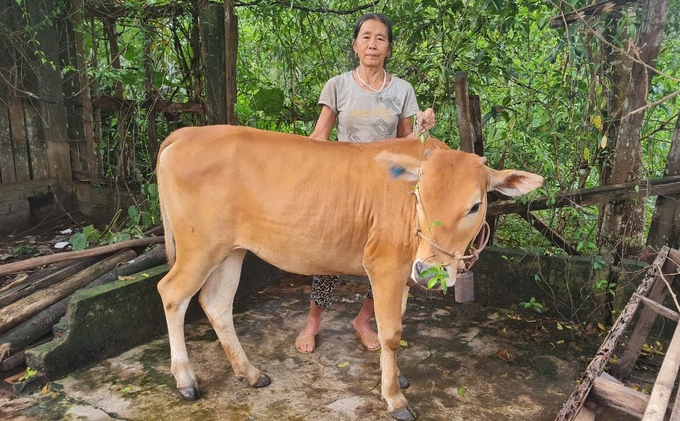 Đồng bào dân tộc thiểu số tại huyện Quỳ Châu sẽ được hưởng lợi nhiều hơn nữa khi những nút thắt pháp lý của Chương trình mục tiêu quốc gia được tháo gỡ. Ảnh: Việt Khánh.