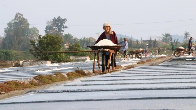 Sản phẩm muối truyền thống của Quỳnh Lưu được người tiêu dùng tại Mỹ, Nhật Bản, Hàn Quốc ưa chuộng. Ảnh: Việt Khánh.