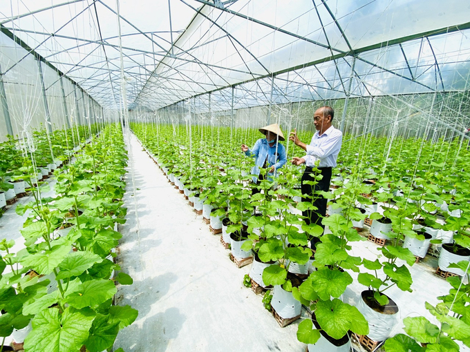 By 2045, Can Tho city aims to become the high-tech agricultural hub of the Mekong Delta region. Photo: Le Hoang Vu.