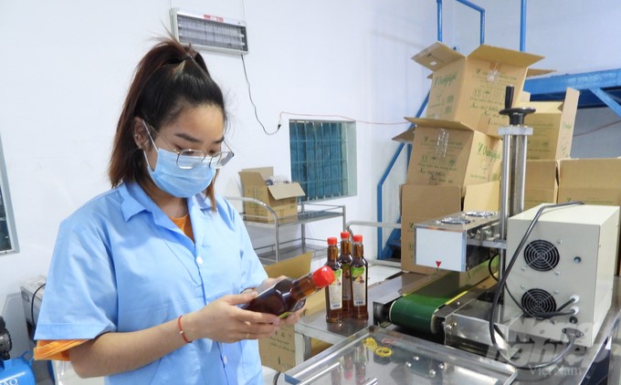 Vuong Ngoc's premium vegetarian fish sauce bottles not only serve the domestic market but are also widely exported. Photo: Tran Trung