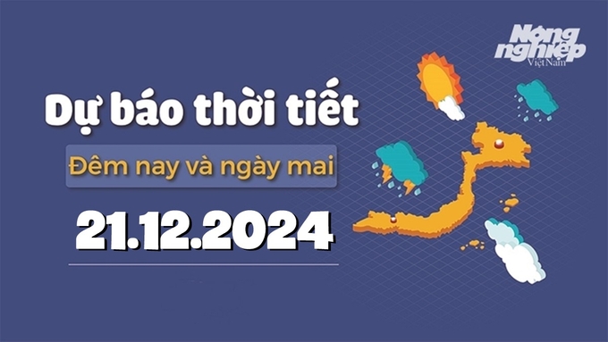 Tin tức thời tiết đêm nay và ngày mai 21/12/2024 tại các vùng trong cả nước