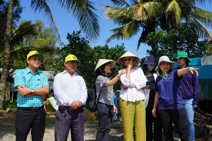 Bà Francesca Bellone - Trưởng ban Hợp tác phát triển Đại sứ quán Canada tại Việt Nam (áo trắng, đội nón lá) tìm hiểu về quy trình canh tác theo Đề án 1 triệu ha lúa chất lượng cao tại HTX Thuận Tiến (TP Cần Thơ). Ảnh: Kim Anh.