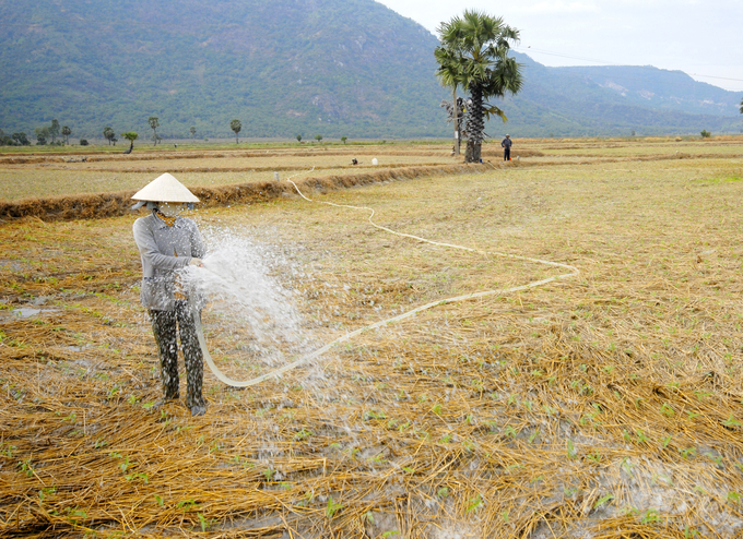 Hiện tại là cuối tháng 12 nhưng khu vực Tây Nam bộ vẫn chưa bắt đầu vào mùa khô. Ảnh: Lê Hoàng Vũ.