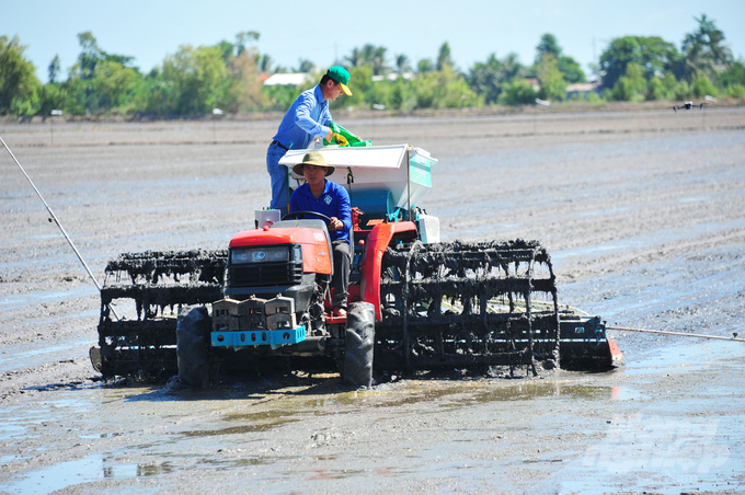 Xuống giống sớm để tránh thời kỳ mặn cao nhất, dự kiến từ cuối tháng 2 đến tháng 4/2025, là một trong những biện pháp quan trọng. Ảnh: Lê Hoàng Vũ.