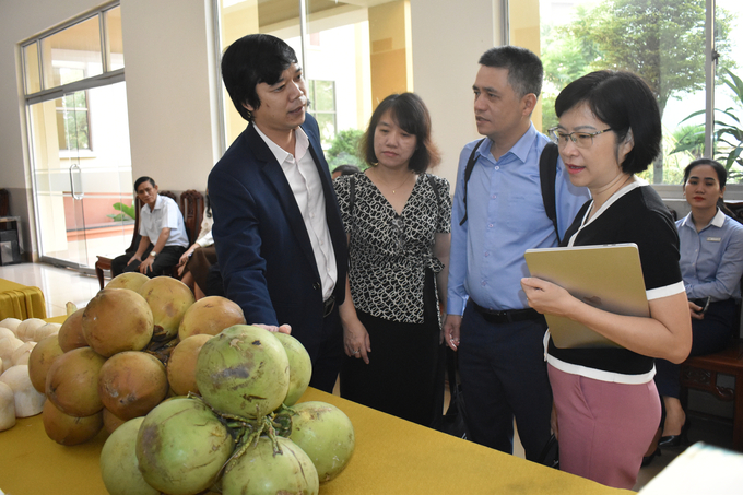 Businesses explore investment opportunities in the coconut industry in Tien Giang. Photo: Minh Dam.