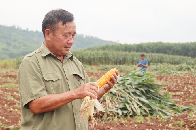 Ông Lý Hồng Dương - nông dân xã Nghĩa Lâm, huyện Nghĩa Đàn, tỉnh Nghệ An. 