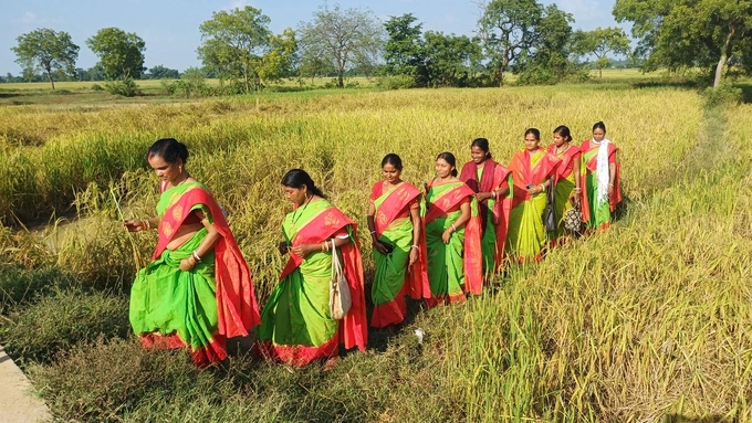 Farmers in Nayagram block of West Bengal have started an all-woman producer organisation, Aamon, cultivating indigenous and organic varieties of paddy. 