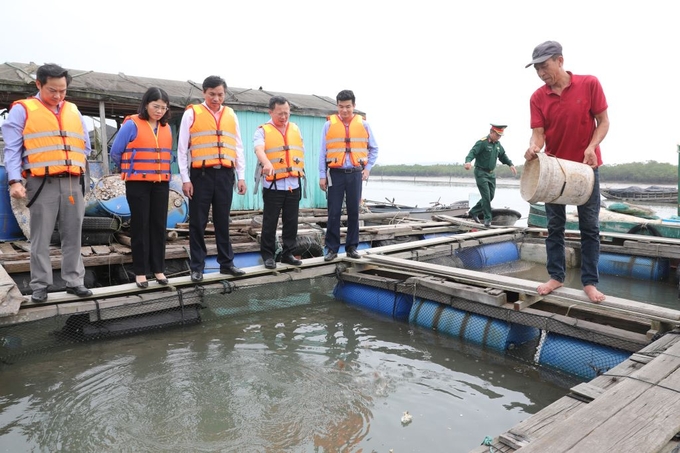 Huyện Đầm Hà sở hữu tiềm năng, lợi thế để phát triển nuôi trồng thủy sản. Ảnh: Đỗ Phương.