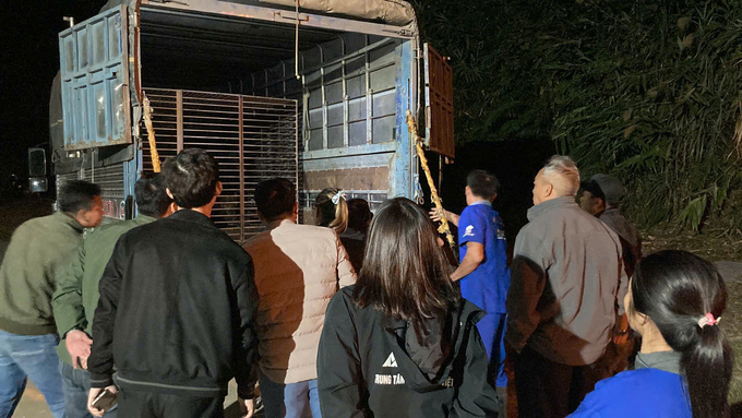 At 11 PM on December 20th, the moon bear arrived at the Vietnam Bear Rescue Center in Tam Dao, Vinh Phuc.