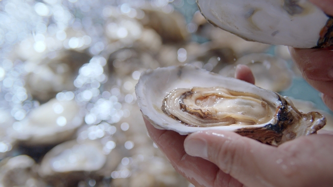 Oysters are one of the most popular seafood in China. Photo: Hong Tham.