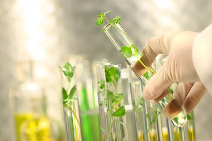 The project on the development of biotechnology in the field of environmental protection until 2030 aims to control and improve environmental quality while ensuring the efficient use of natural resources.