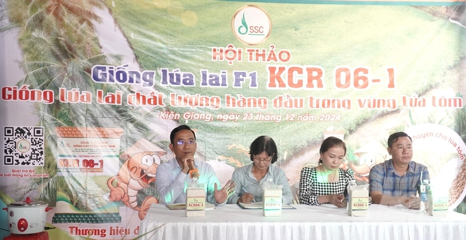 Giống lúa lai KCR06-1 không chỉ đáp ứng các tiêu chí tiên tiến như khả năng kháng sâu bệnh, chống chịu mặn đến 5‰ (5 phần ngàn) mà còn đạt năng suất cao hơn các giống lúa thuần tới 15%. Ảnh: Trần Phi.