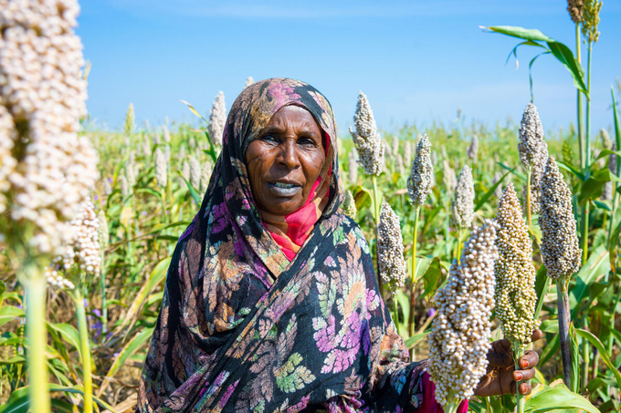 FAO is deeply concerned about the worsening food security situation in the Sudan.