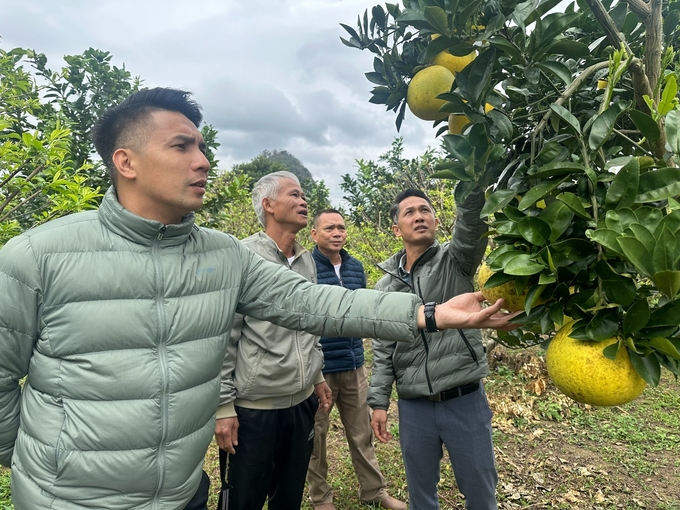 Cán bộ vận hành công trình thủy lợi đến thăm vườn cây của bà con. Nhờ có nước tưới tiêu ổn định, nhiều hộ không còn vất vả kiếm nguồn nước trong vụ đông. Ảnh: Đức Bình.