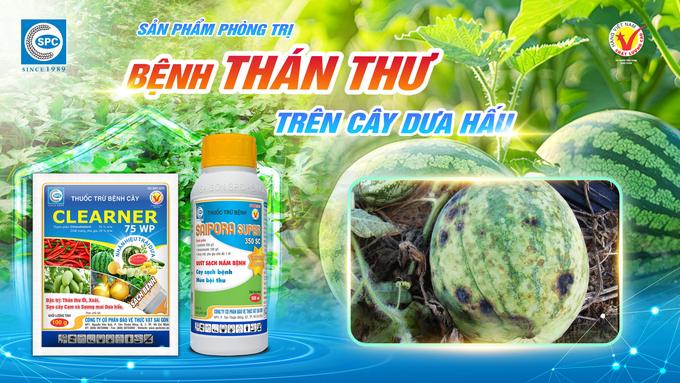 Các loại thuốc trừ bệnh thán thư hại dưa hấu hiệu quả của Công ty CP BVTV Sài Gòn (SPC). Ảnh: Minh Tuyên.