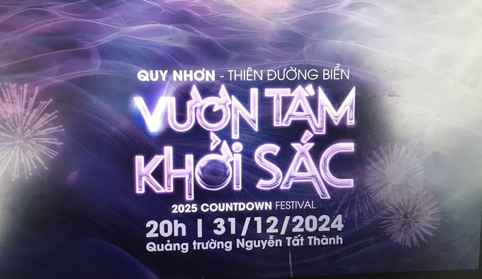 Chương trình Countdown Tết Dương lịch 2025 'Quy nhơn-Thiên đường biển-Vươn tầm khởi sắc' sẽ mang đến một bản giao hưởng trọn vẹn phục vụ người dân và du khách. Ảnh: BTC