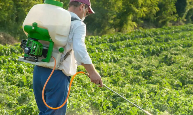 Glyphosate has been associated with numerous other health problems in humans, including other types of cancers, heart disease, diabetes, kidney disease, and reproductive problems. 